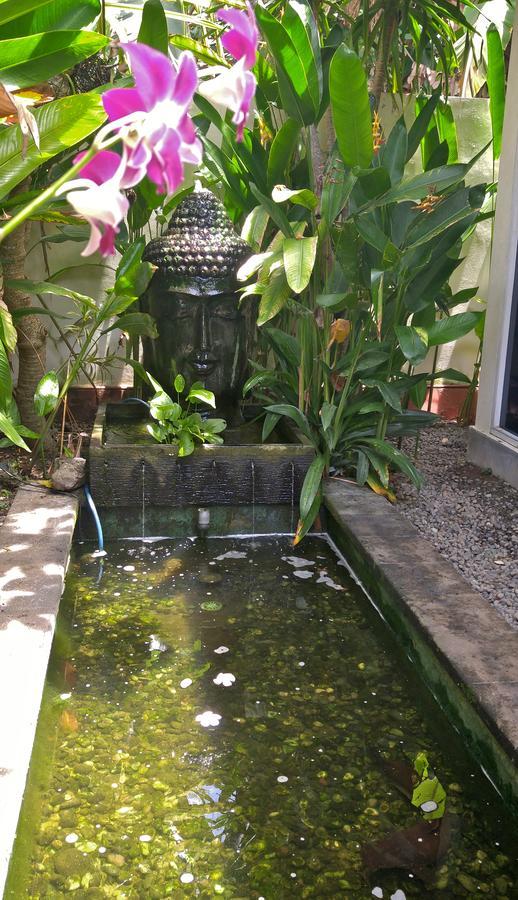 Villa Las Brisas 캔디다사 외부 사진